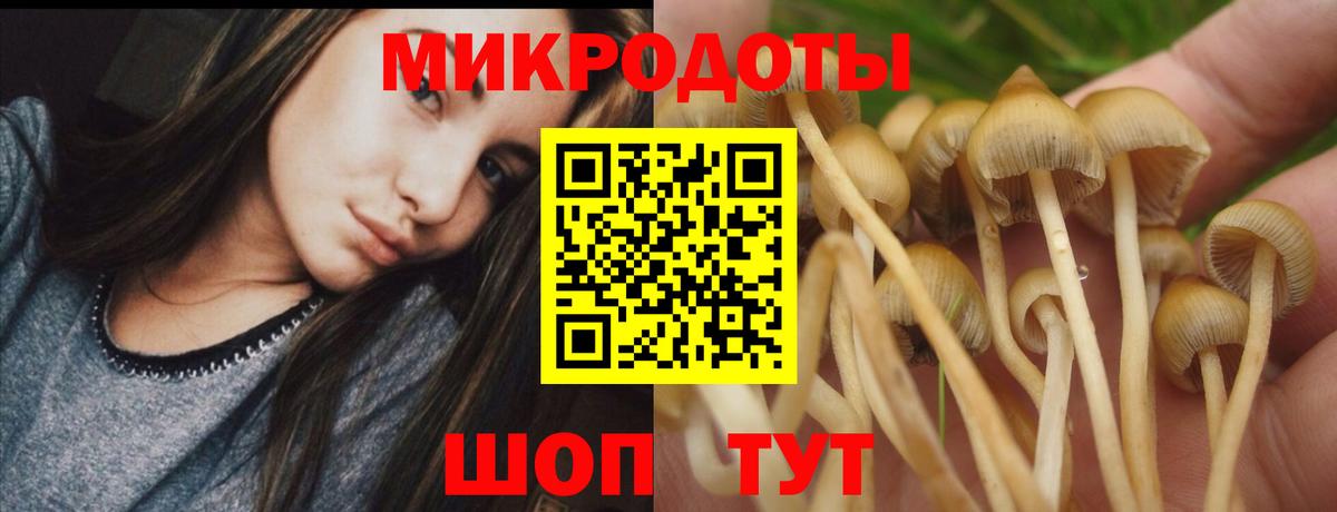 Галлюциногенные грибы мухоморы  Вход с VPN  где найти наркотики  Серпухов  Псилоцибиновые грибы Psilocybine cubensis 